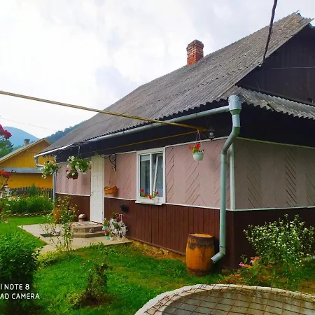 у надії Goeta
