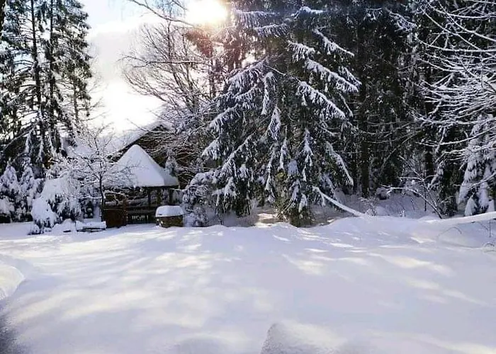 у надії Lodge